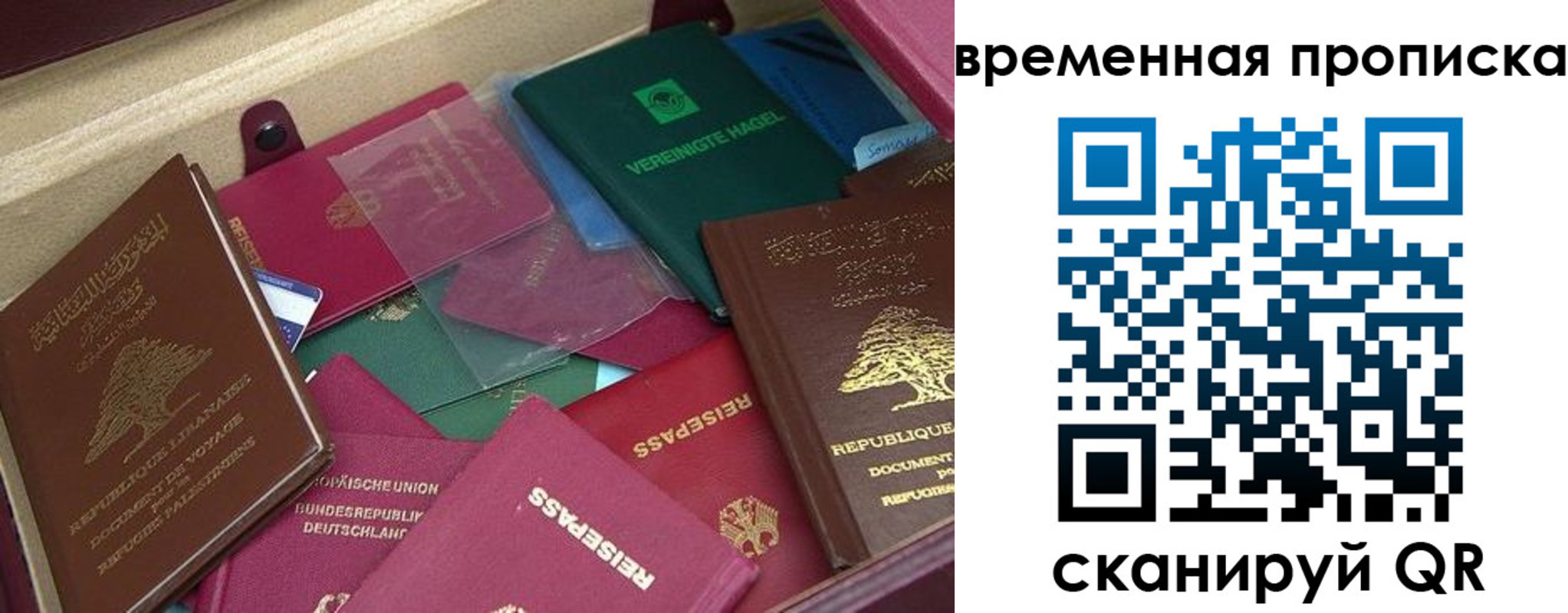 прописка в Пионерском